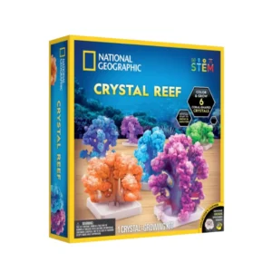 שונית הקריסטלים - 6 אלמוגים שונים לגידול