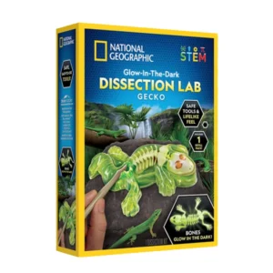 מעבדת ניתוח שממית ירוקה זוהרת